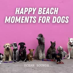 Ocean Sounds: Happy Beach Moments for Dogs - Ultimate Ocean Experience