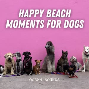 Ocean Sounds: Happy Beach Moments for Dogs - Ultimate Ocean Experience