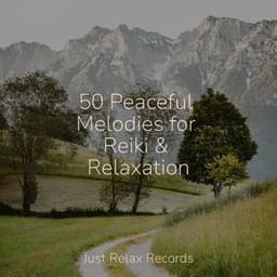 50 Peaceful Melodies for Reiki & Relaxation - Relaxed Minds