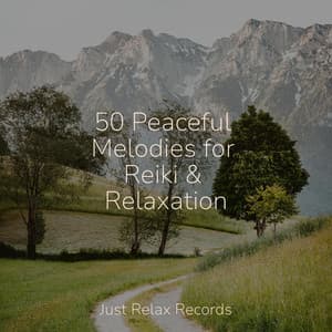 50 Peaceful Melodies for Reiki & Relaxation - Relaxed Minds