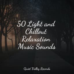 50 Light and Chillout Relaxation Music Sounds - Water Sound Natural White Noise