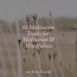 50 Meditation Tracks for Meditation & Mindfulness - Musica de Relajación Academy