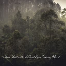 Sleep Well with Natural Rain Therapy Vol. 1 - Gentle Rain Makers