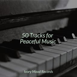 50 Tracks for Peaceful Music - Pianoramix