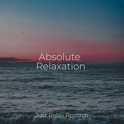 Absolute Relaxation - Musica para Bebes
