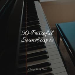 50 Sounds to Soothe Your Mind - Concentration Study