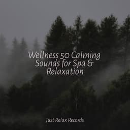 Wellness 50 Calming Sounds for Spa & Relaxation - Música Relajante para Bebés