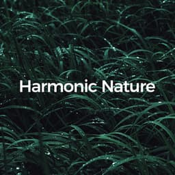 Harmonic Nature - Sounds of Nature Noise