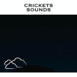 Crickets Sounds - Cricket Sounds