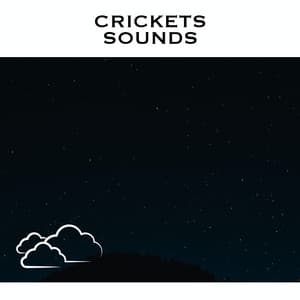 Crickets Sounds - Cricket Sounds