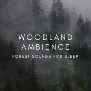 Woodland Ambience Forest Sounds for Sleep - Natural Sounds Selections