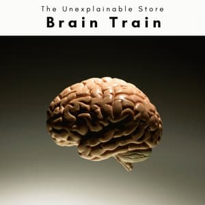1 Brain Train - The Unexplainable Store