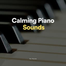 Calming Piano Sounds - Música relaxante