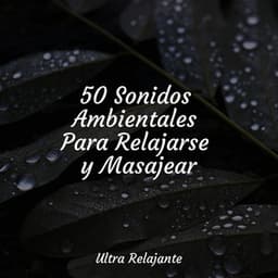 50 Sonidos Ambientales Para Relajarse y Masajear - Sons da Natureza Relax