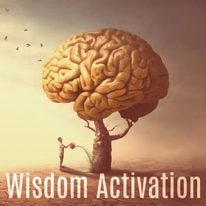 Wisdom Activation: Meditation for Change Mindset - Meditation Group