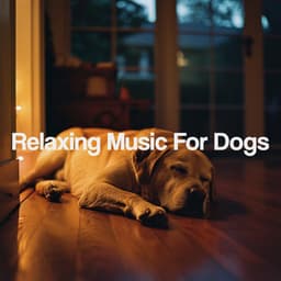 Relaxing Music For Dogs - Entspannungsmusik
