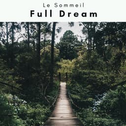 1 0 1 Full Dream - Le Sommeil