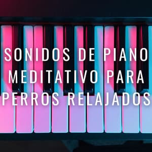 Armonía De Ladridos: Sonidos De Piano Meditativo Para Perros Relajados - Cóctel Piano Bar Jazz