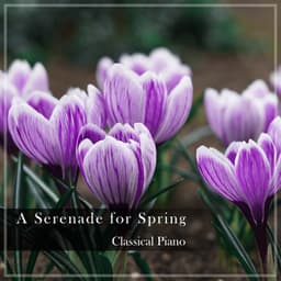 "A Serenade for Spring" - Classical Piano - Johann Sebastian Bach