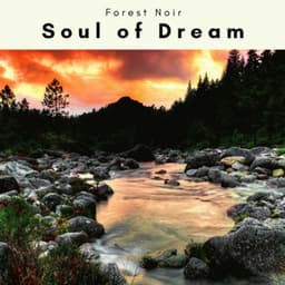 2022 Soul of Dream - Forest Noir