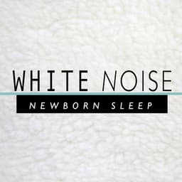 White Noise: Newborn Sleep - Lullaby Land