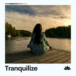 Tranquilize - Relaxing Music for Stress Relief