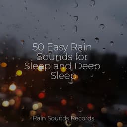 50 Easy Rain Sounds for Sleep and Deep Sleep - Sounds of Nature White Noise for Mindfulness, Meditation and Relaxation