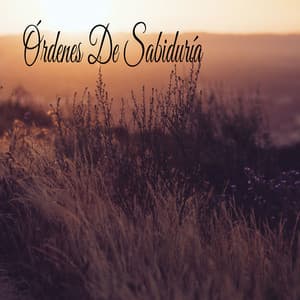 Órdenes De Sabiduría - Música Instrumental Maestro