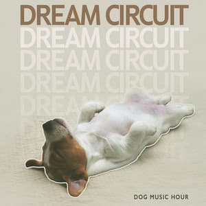 Dream Circuit - Dog Music Hour