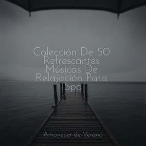 Colección De 50 Refrescantes Músicas De Relajación Para Spa - Musica Relajante Specialistas & Musica Relajante