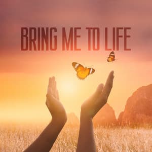 Bring Me To Life - Health Center