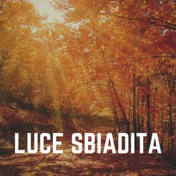 Luce Sbiadita - Zona pura di suoni naturali