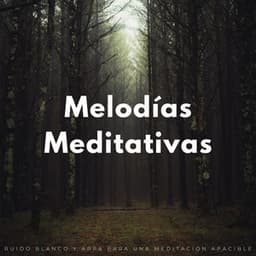 Melodías Meditativas: Ruido Blanco Y Arpa Para Una Meditación Apacible - Sonidos de la Naturaleza Ruido Blanco para Mindfulness