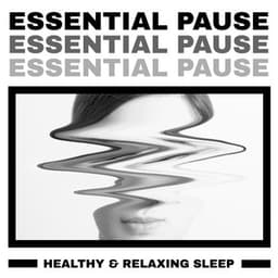 Essential Pause - Healthy & Relaxing Sleep: Sleep Therapy, Meditation for Sleep Well, Daily De-Stress - Sleep Music 101