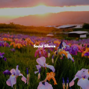 Social Silence - Calme Ambiance Jazz