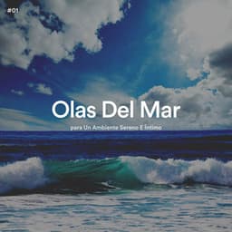 #01 Olas Del Mar para Un Ambiente Sereno E Íntimo - Olas del Mar