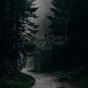 Ambient Music | Relaxing Music Mind - Thunderstorm Sound Bank