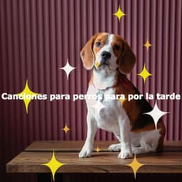 Canciones para perros para por la tarde - Cool Cats 1940s Jazz