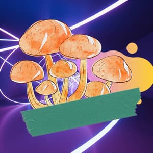 Echoes of Jazzy Cafes - Wine Bar Music