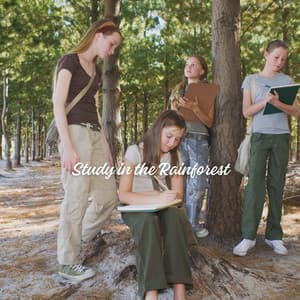 Study in the Rainforest - Rain Palace