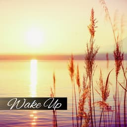 Wake Up - Tina Amalier