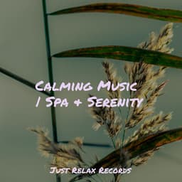 Calming Music | Spa & Serenity - Exam Study Classical Music