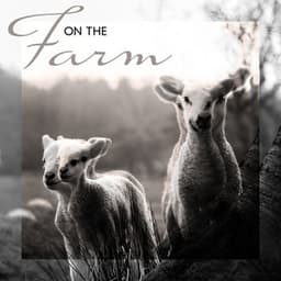 On the Farm - Unique Collection of Animal Sounds Straight from the Countryside Like Horses, Ducks, Hens, Donkeys and More - Close to Nature Music Ensemble