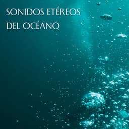 Sonidos Etéreos Del Océano - Resplandor de las olas del océano