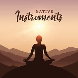 Native Instruments - Native American Music World
