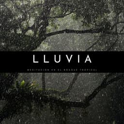 Lluvia: Meditación En El Bosque Tropical - Bosque Tropical
