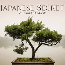 Japanese Secret of Healthy Sleep - Calm Music Masters Relaxation