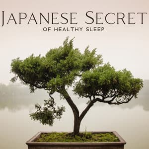 Japanese Secret of Healthy Sleep - Calm Music Masters Relaxation