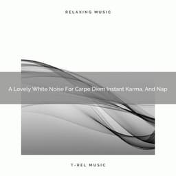 A Lovely White Noise For Carpe Diem Instant Karma, And Nap - White Noise For Sleeping Problems