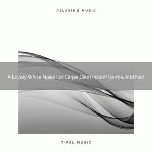 A Lovely White Noise For Carpe Diem Instant Karma, And Nap - White Noise For Sleeping Problems